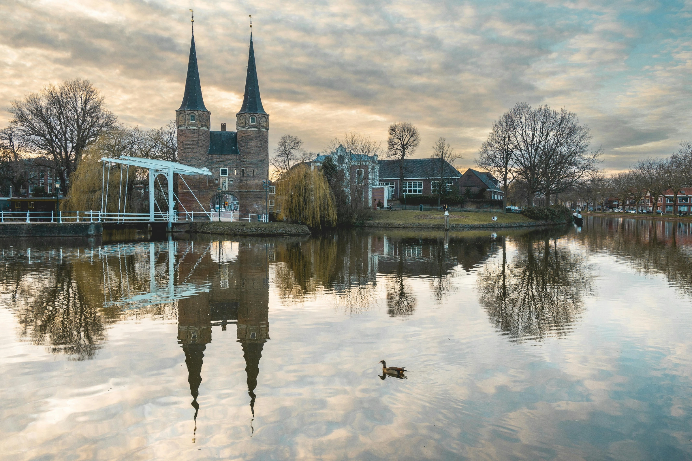 Delft[1].webp
